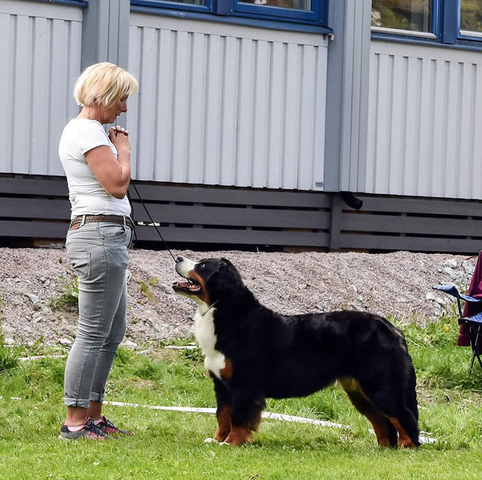 Stig Odenrud sitt bilde.