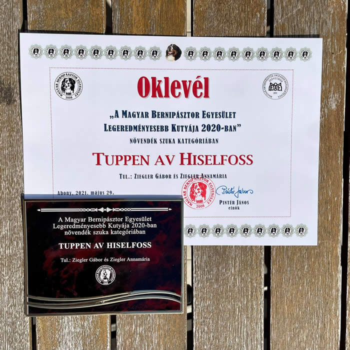 Ingen beskrivelse er tilgjengelig.