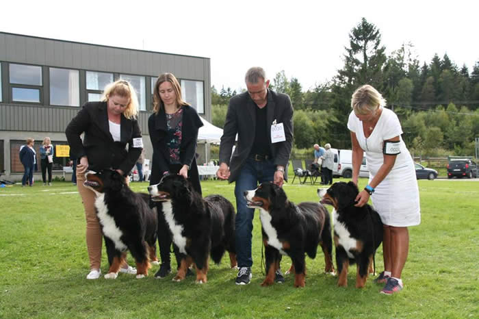 Gro Solberg sitt bilde.