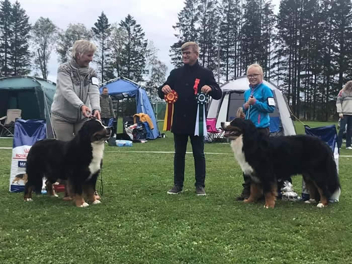 Kan være et bilde av 2 personer, inkludert Leif Ragnar Hjorth, hund og utendørs