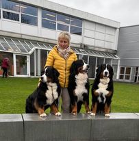 Kan være et bilde av 2 personer, Entlebucher sennenhund og utendørs