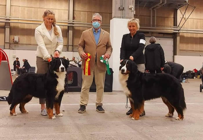 Kan være et bilde av 6 personer og hund