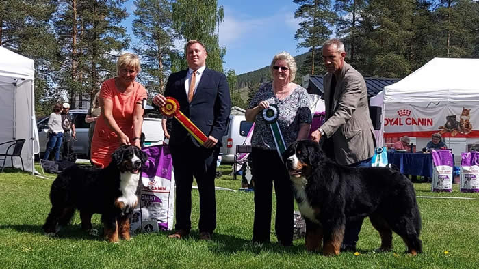 Kan være et bilde av 6 personer, folk som står, hund, utendørs og tekst som sier 'OYAL CANIN CANIN'