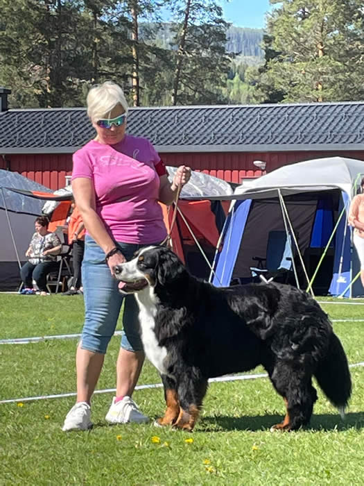 Kan være et bilde av 2 personer, folk som står, hund og utendørs