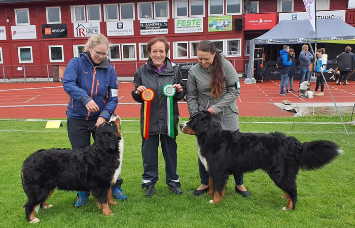 Kan være et bilde av 7 personer, hund og utendørs