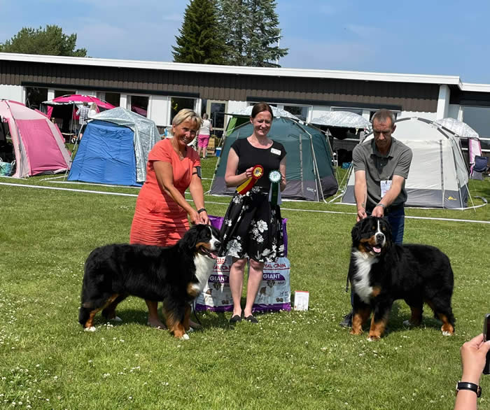 Kan være et bilde av 4 personer, folk som står, hund og utendørs