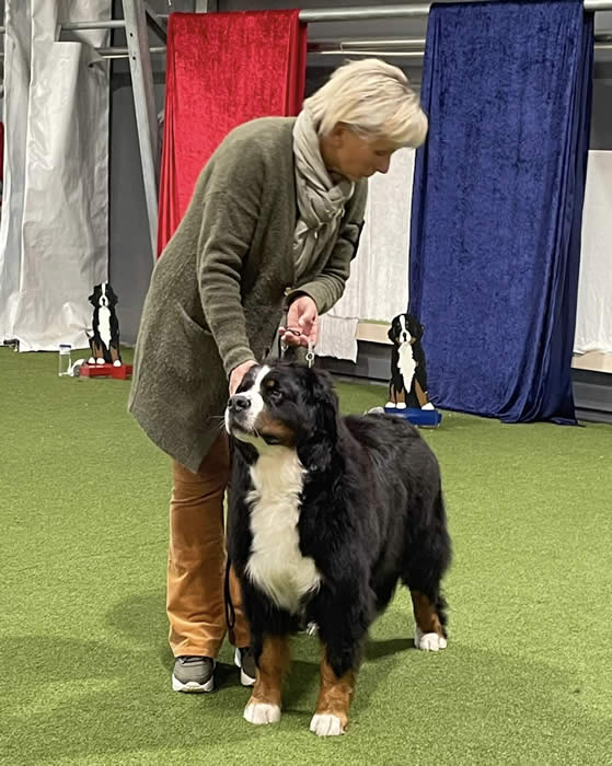 Kan være et bilde av 1 person og hund