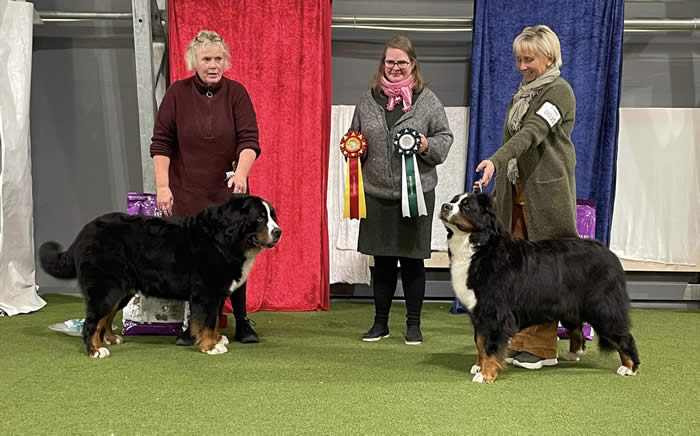 Kan være et bilde av 3 personer, folk som står og hund