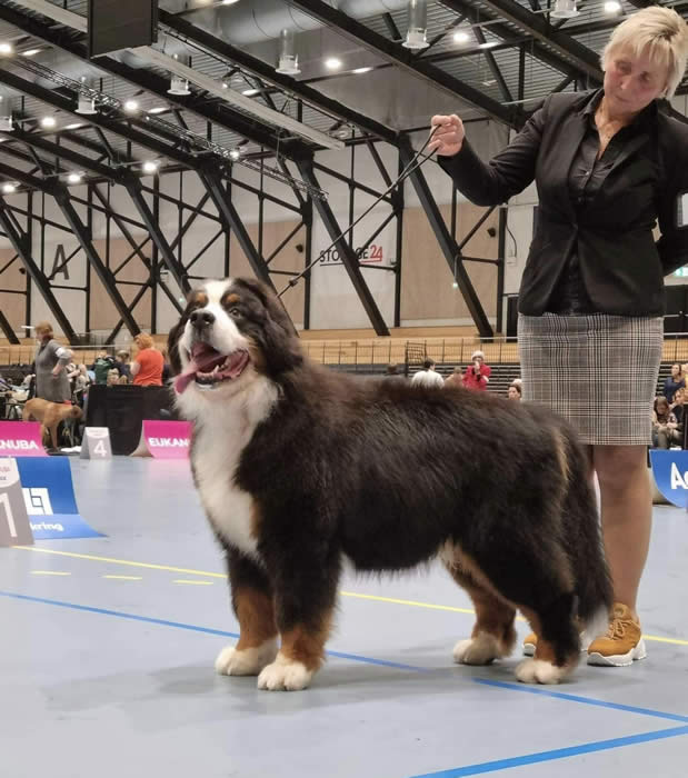 Kan være et bilde av 3 personer og hund