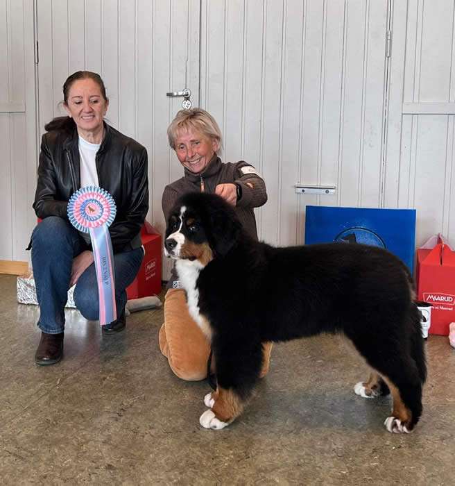 Kan være et bilde av 2 personer og hund