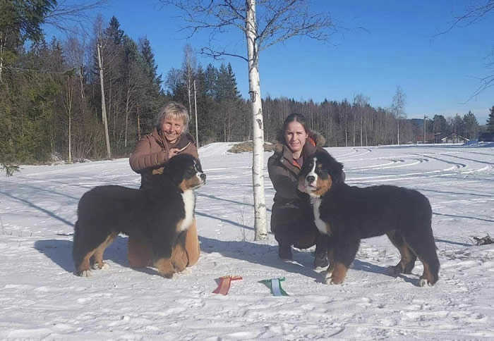 Kan være et bilde av 2 personer, hund og natur