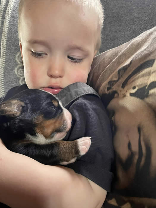 Kan være et bilde av 1 person, baby og hund