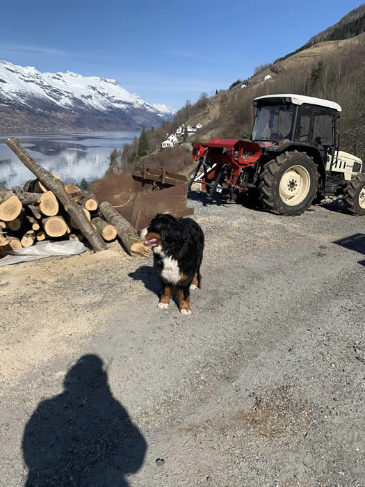 Ingen bildebeskrivelse er tilgjengelig.