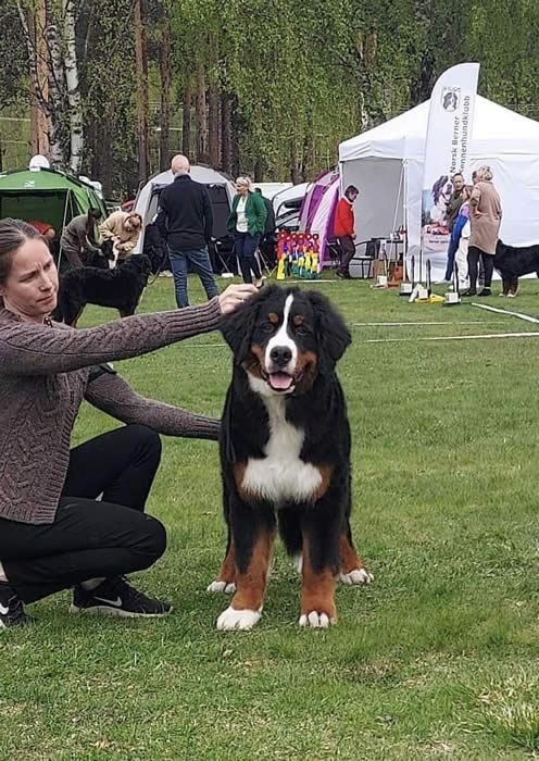 Kan være et bilde av 6 personer og hund