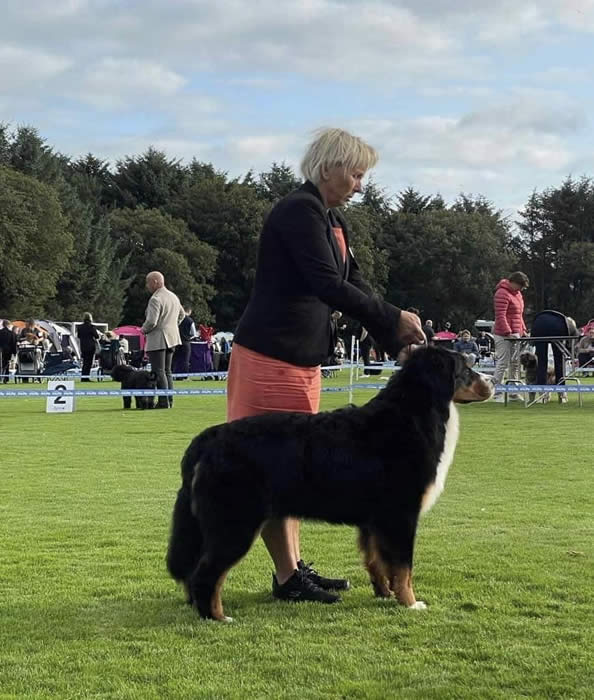 Kan være et bilde av 9 personer og hund