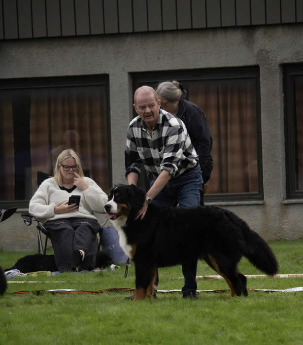 Kan være et bilde av 2 personer og hund