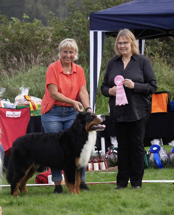 Kan være et bilde av 2 personer, hund og tekst