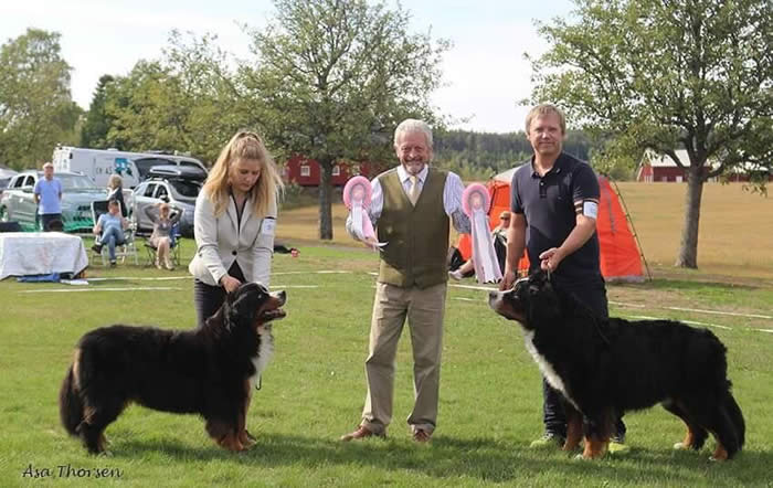 Bildet kan inneholde: 3 personer, personer smiler, hund, tre, utendørs og natur