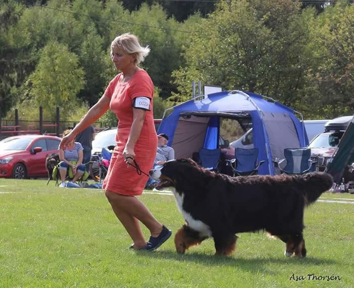 Bildet kan inneholde: 1 person, hund, utendørs og natur