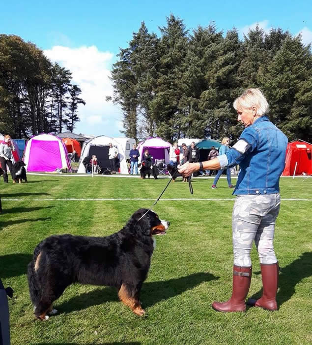 Bildet kan inneholde: 1 person, tre, hund, himmel, gress, utendørs og natur