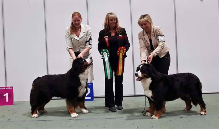 Bildet kan inneholde: 3 personer, inkludert Cinzia Widunders Lundgren og Petra Junehall, personer smiler, hund