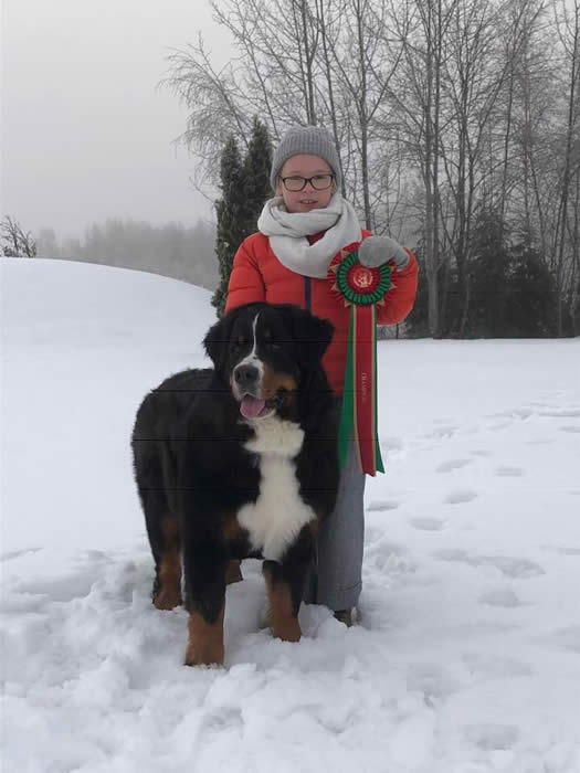 Bildet kan inneholde: 1 person, hund, tre, snø, utendørs og natur