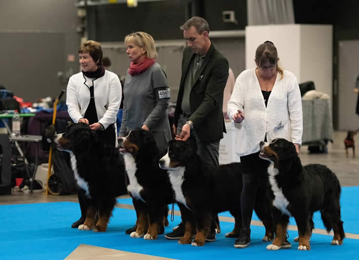 Bildet kan inneholde: 3 personer, inkludert Gro Solberg, hund