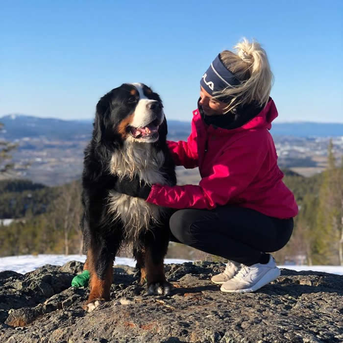 Bildet kan inneholde: hund, utendørs og natur