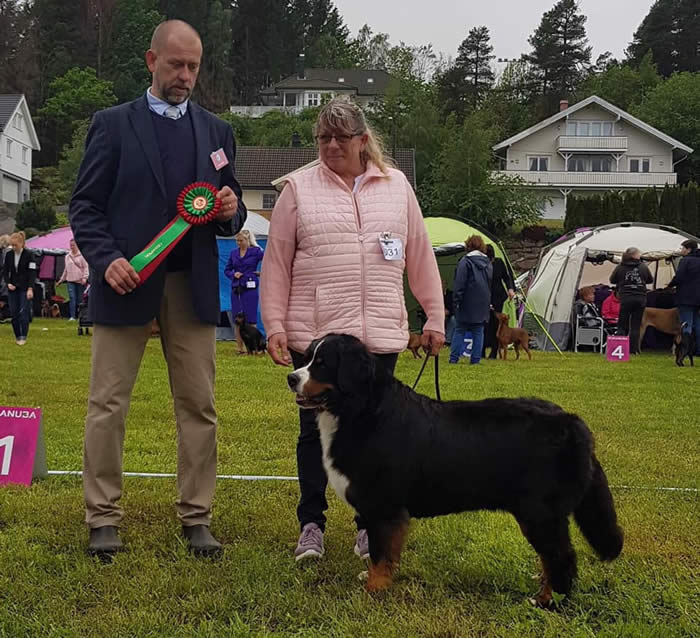 Bildet kan inneholde: 2 personer, inkludert Helle Hviid Sørensen, hund, tre og utendørs