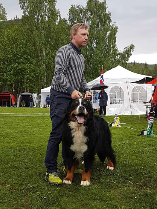 Bildet kan inneholde: 1 person, hund, gress, utendørs og natur