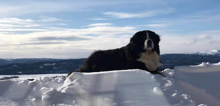 Bildet kan inneholde: himmel, sky, natur og utendørs